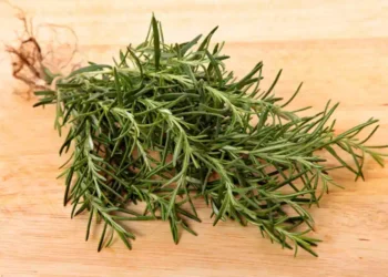 La Pianta Che Cura Vertigini, Fibromialgia, Lupus, Artrite