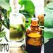 Olio essenziale di eucalipto: le principali proprietà e benefici, gli usi e le controindicazioni