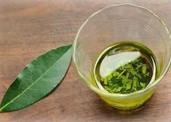 Alloro: tutte le nonne lo consigliano, è uno dei rimedi più efficaci