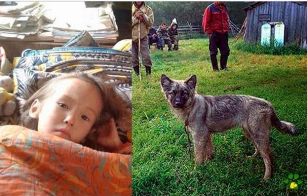 Scompare nel bosco e sopravvive per 12 giorni grazie al suo fedele cagnolino