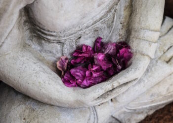 Meditazione gratuita per attirare l'abbondanza e la positività