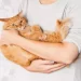 I gatti sono una medicina naturale