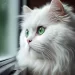 Anche i gatti parlano