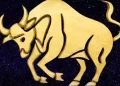 Segno del Toro: 5 motivi