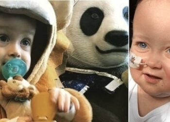 Alex, trapianto riuscito finalmente il bambino è guarito