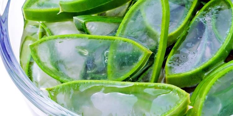 Aloe vera un toccasana contro il gonfiore di pancia