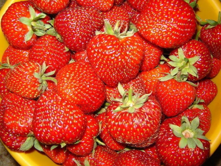 dieta-delle-fragole-dimagrire-cellulite