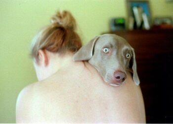Le 10 cose che facciamo che i nostri cani detestano
