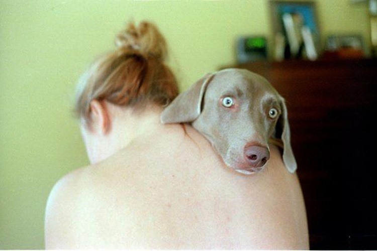 Le 10 cose che facciamo che i nostri cani detestano