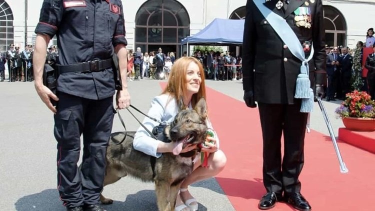 Jecky-il-cane-dei-Carabinieri
