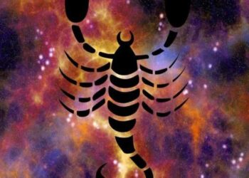 I 4 segni zodiacali