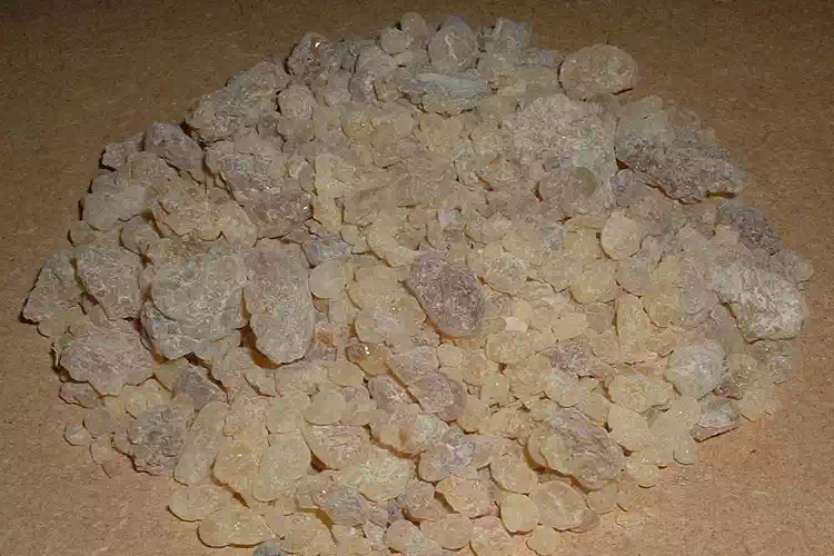 Olio Franchincenso benefici
