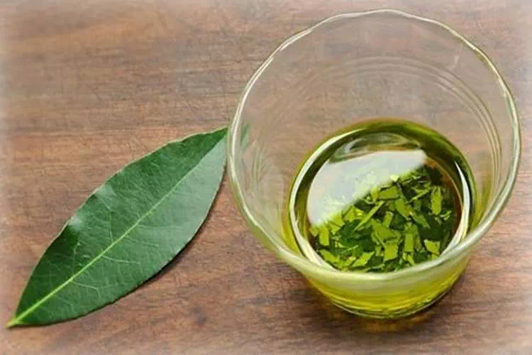 Infuso termogenico per sciogliere il grasso e dimagrire
