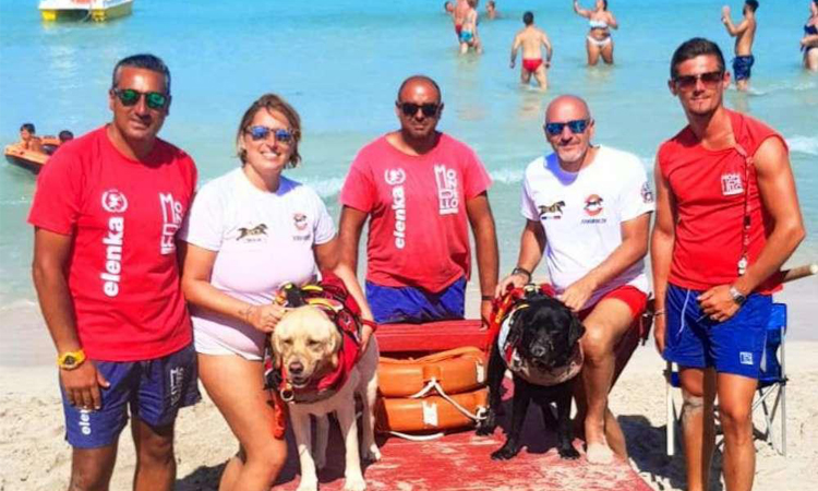 Cani da soccorso eroi di Ferragosto 6 salvataggi sulle spiagge italiane