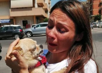 Ritrova il suo cane dopo 8 anni, mix di emozioni per Silvia