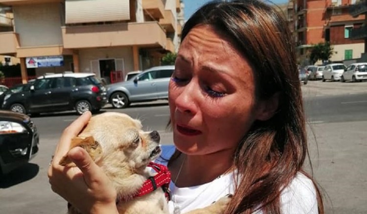 Ritrova il suo cane dopo 8 anni, mix di emozioni per Silvia