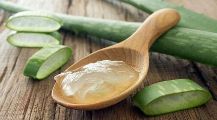 Gel di aloe vera fai da te: come prepararlo contro la cellulite!