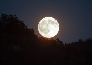 Luna Nuova Nera 30 Agosto: come influenza i segni zodiacali
