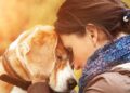 Gli animali domestici soffrono molto dopo un lutto