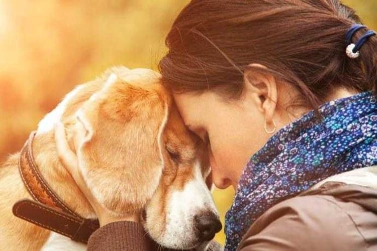 Gli animali domestici soffrono molto dopo un lutto