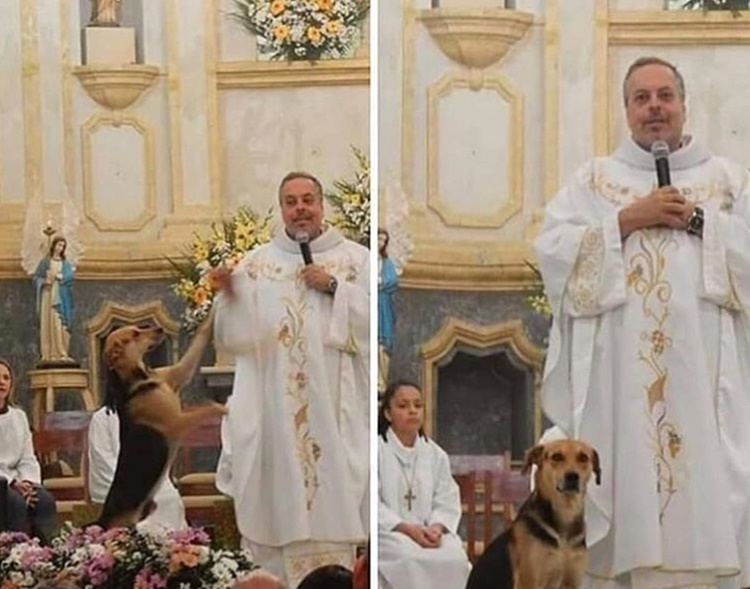 La storia del sacerdote brasiliano che salva i cani e promuove le adozioni durante la messa