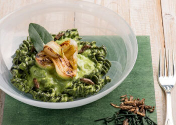 La pasta del futuro alghe e insetti a condire il piatto tipico degli italiani