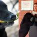 Un cane compra un biscotto e paga con le foglie