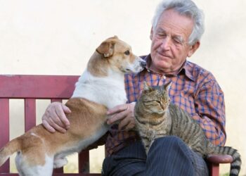Gatti e cani per superare la depressione e la perdita del partner