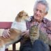 Gatti e cani per superare la depressione e la perdita del partner