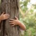 Abbracciare gli alberi fa bene: cura la mente e il corpo