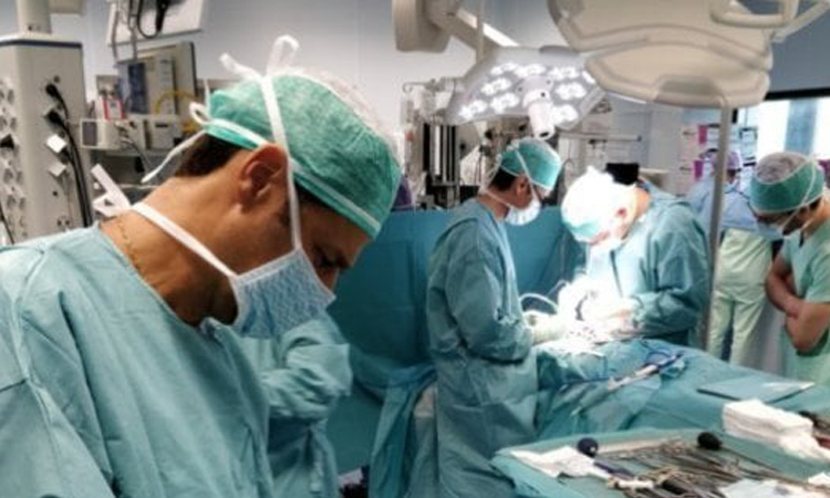 Bologna, trapianto di vertebre umane riuscito è il primo caso al mondo