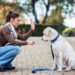 Comandi di base che puoi insegnare al tuo cane: consigli utili