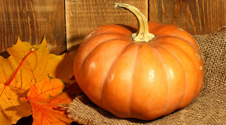 Dieta della zucca rossa: fa bene al cuore e all'intestino