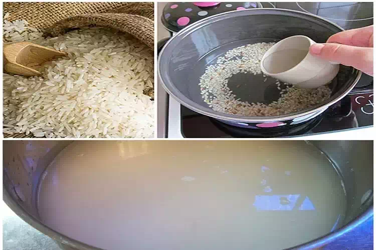 Dieta depurativa per il fegato: dura 10 giorni e fa dimagrire