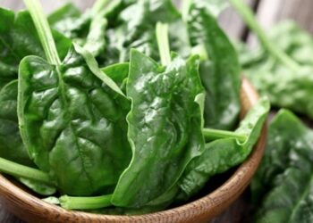 Spinaci: le proprietà e i benefici dell'ortaggio per la salute
