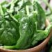 Spinaci: le proprietà e i benefici dell'ortaggio per la salute