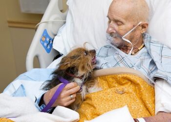 Abbracciare il cane, è l'ultimo desiderio di John malato terminale