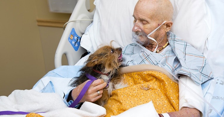 Abbracciare il cane, è l'ultimo desiderio di John malato terminale