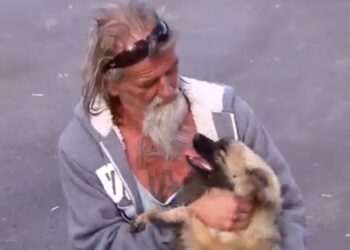 Gucci, il cane che ha salvato Nonno George da un incendio