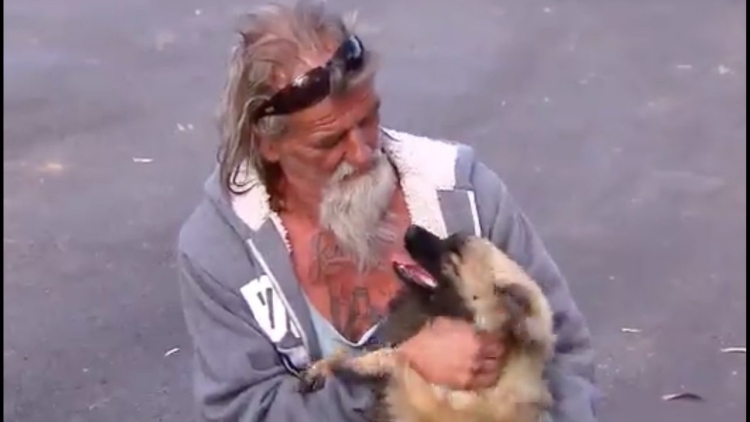 Gucci, il cane che ha salvato Nonno George da un incendio