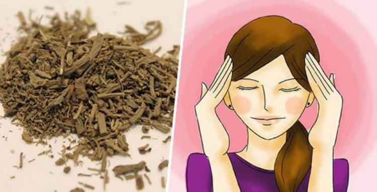 Piante e radici per alleviare ansia e stress in pochi minuti
