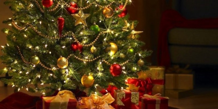Racconti di Natale: la leggenda dell’albero di Natale