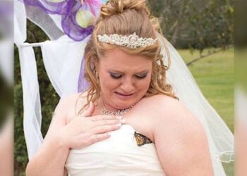 Sposa in lacrime, una farfalla si posa sul vestito: un dono dal cielo