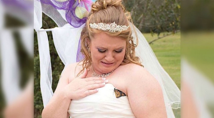 Sposa in lacrime, una farfalla si posa sul vestito: un dono dal cielo