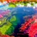 Il significato dei colori: il tuo colore rivela che persona sei