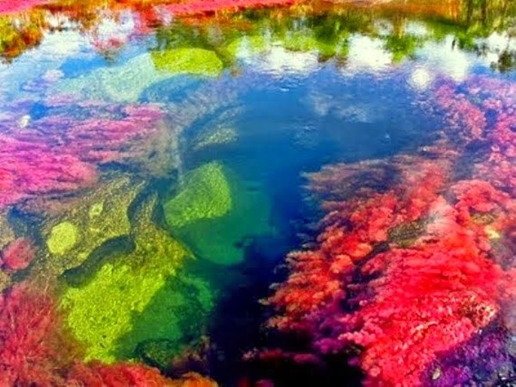 Il significato dei colori: il tuo colore rivela che persona sei