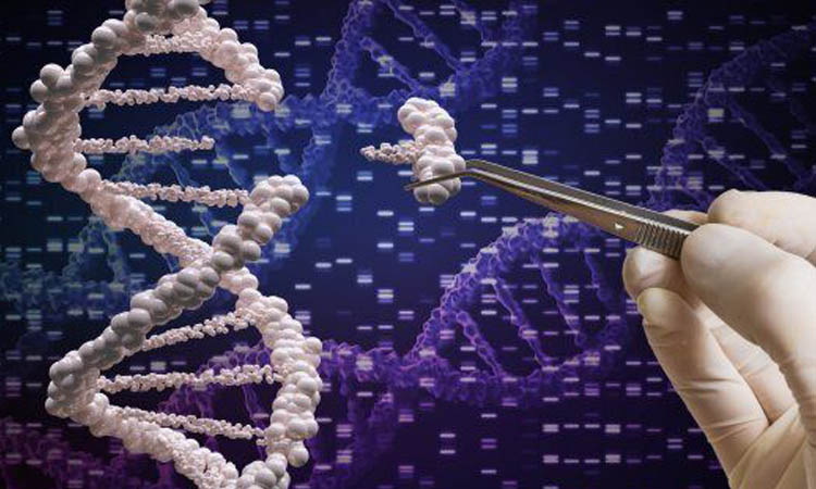 Modificare il Dna per eliminare il cancro positivi i test