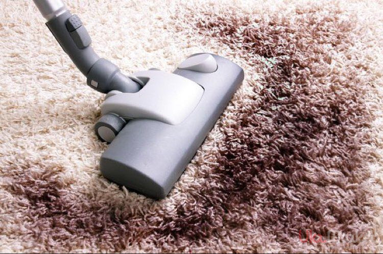 Acari della polvere: rimedi per le allergie in casa