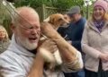 Lieto fine per una cagnolina scampata alla morte