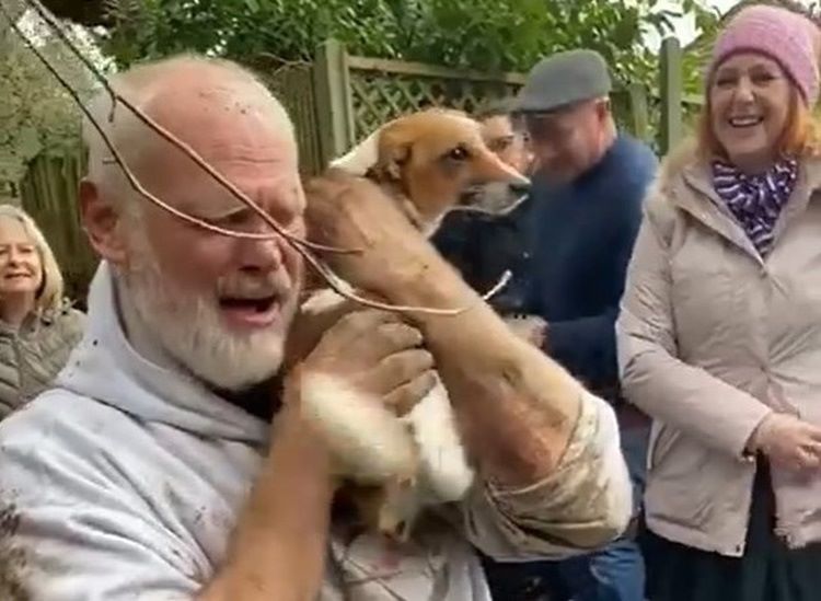 Lieto fine per una cagnolina scampata alla morte